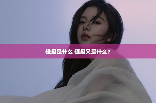 磁盘是什么 硬盘又是什么？