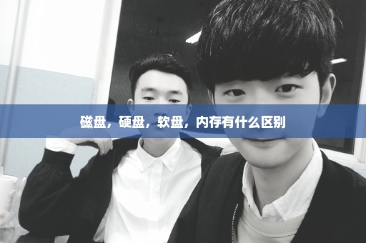 磁盘，硬盘，软盘，内存有什么区别