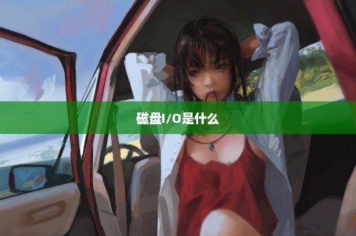 磁盘I/O是什么
