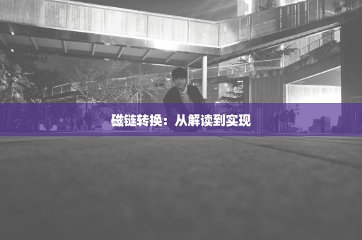 磁链转换：从解读到实现