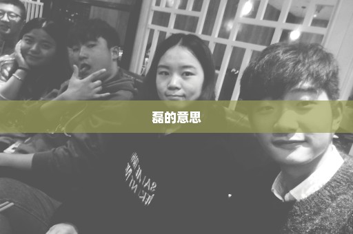 磊的意思