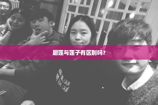 磨莲与莲子有区别吗？
