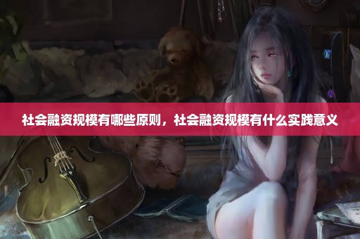 社会融资规模有哪些原则，社会融资规模有什么实践意义