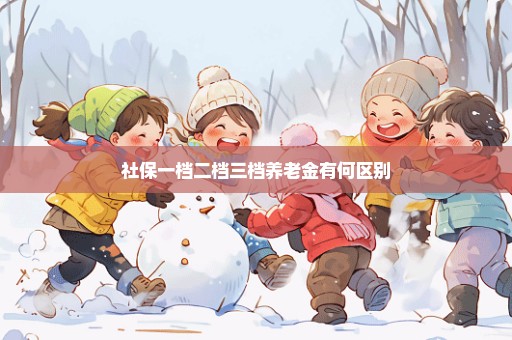 社保一档二档三档养老金有何区别