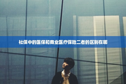 社保中的医保和商业医疗保险二者的区别在哪