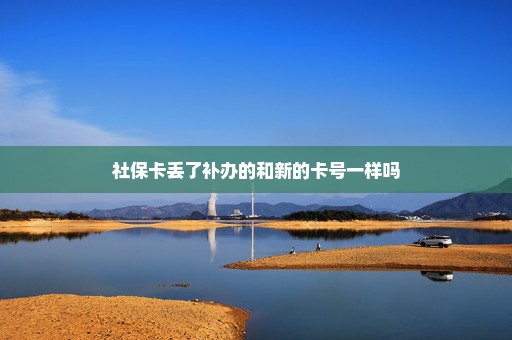 社保卡丢了补办的和新的卡号一样吗