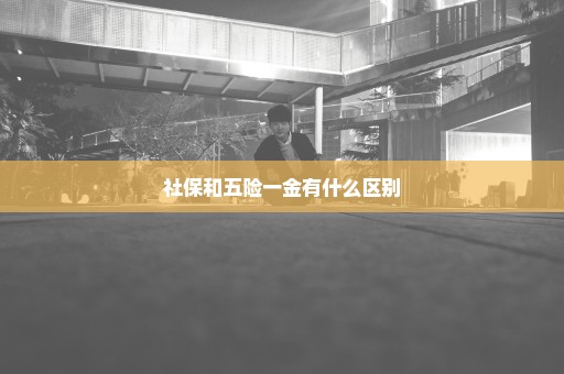 社保和五险一金有什么区别
