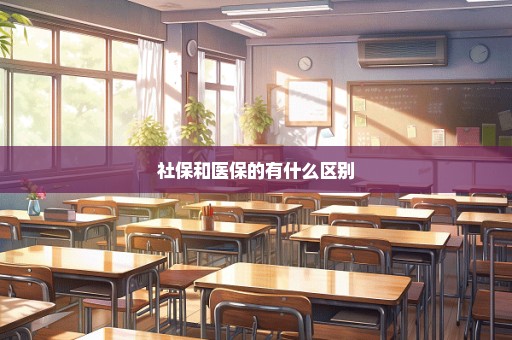 社保和医保的有什么区别