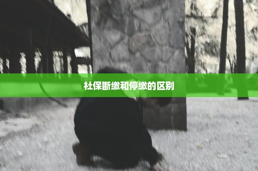 社保断缴和停缴的区别