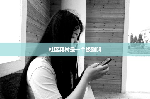 社区和村是一个级别吗