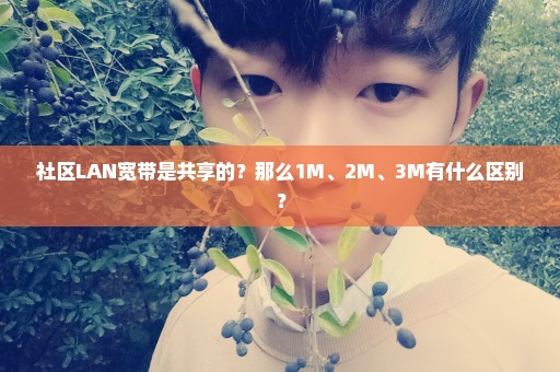 社区LAN宽带是共享的？那么1M、2M、3M有什么区别？