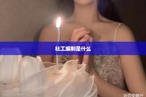 社工编制是什么