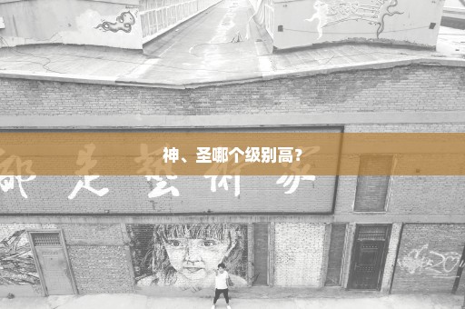 神、圣哪个级别高？