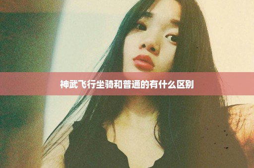 神武飞行坐骑和普通的有什么区别