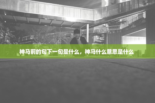 神马前的句下一句是什么，神马什么意思是什么 
