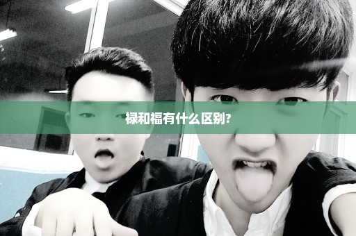 禄和福有什么区别?