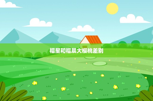 福星和福晨大樱桃差别
