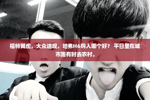 福特翼虎，大众途观，哈弗H6购入哪个好？ 平日里在城市跑有时去农村。