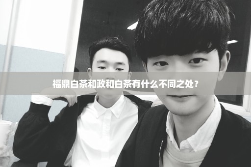 福鼎白茶和政和白茶有什么不同之处？