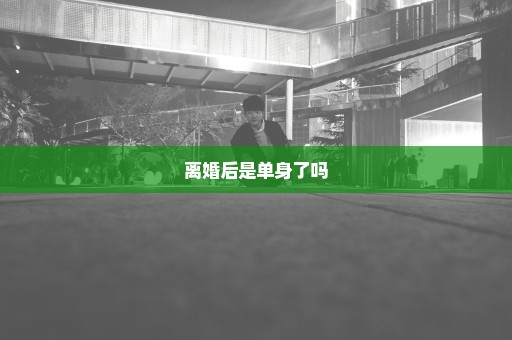 离婚后是单身了吗