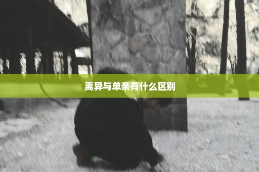 离异与单亲有什么区别