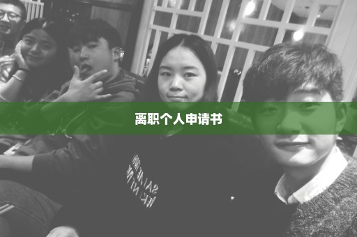 离职个人申请书