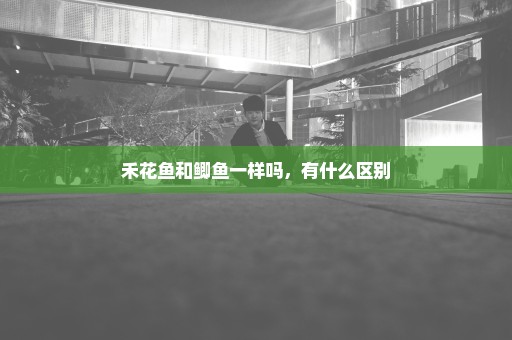禾花鱼和鲫鱼一样吗，有什么区别