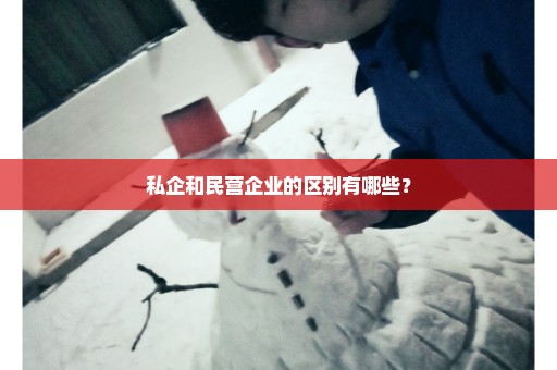 私企和民营企业的区别有哪些？