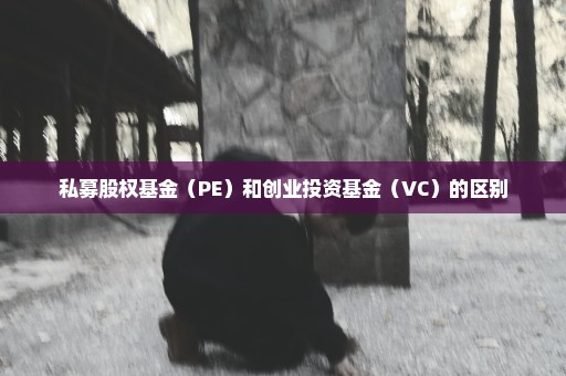 私募股权基金（PE）和创业投资基金（VC）的区别