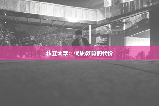 私立大学：优质教育的代价
