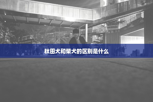 秋田犬和柴犬的区别是什么