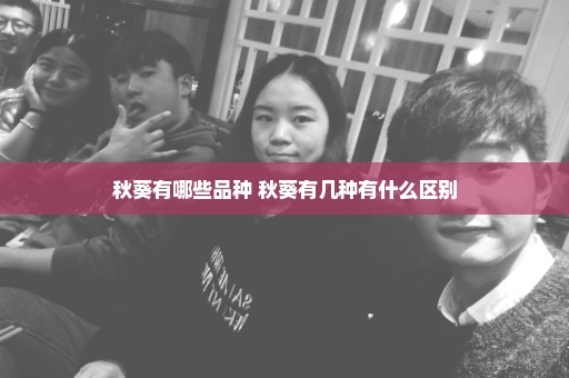 秋葵有哪些品种 秋葵有几种有什么区别