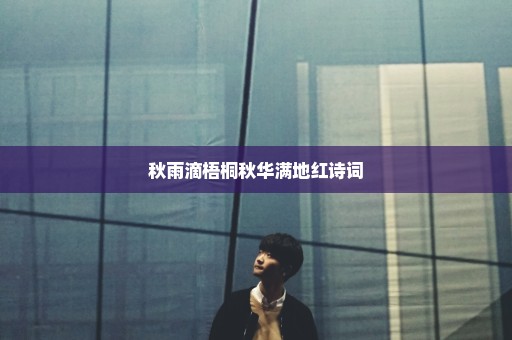 秋雨滴梧桐秋华满地红诗词