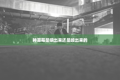 种草莓是吸出来还是咬出来的