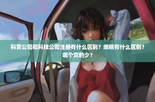 科贸公司和科技公司注册有什么区别？缴税有什么区别？哪个交的少？