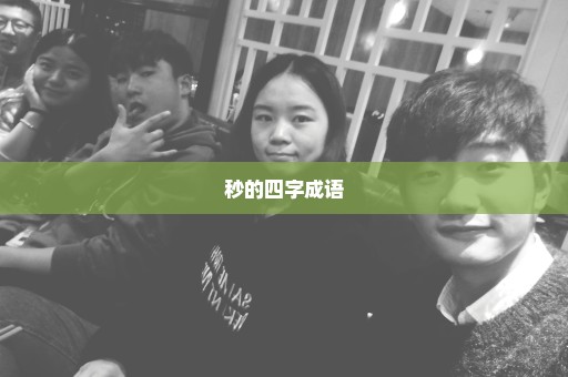 秒的四字成语