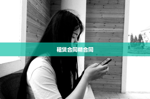 租赁合同精合同