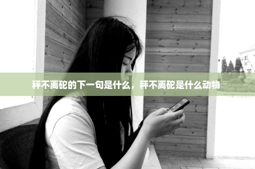 秤不离砣的下一句是什么，秤不离砣是什么动物 
