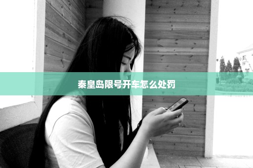 秦皇岛限号开车怎么处罚