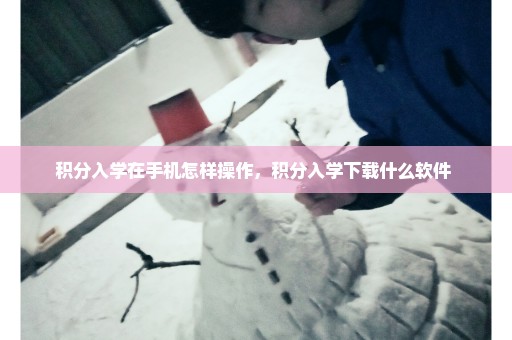积分入学在手机怎样操作，积分入学下载什么软件 