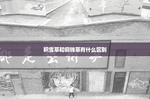 积雪草和铜钱草有什么区别