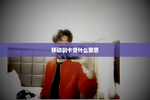 移动副卡是什么意思