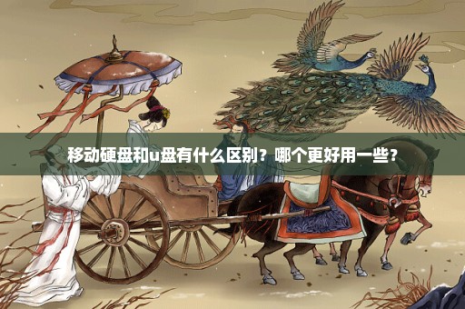 移动硬盘和u盘有什么区别？哪个更好用一些？