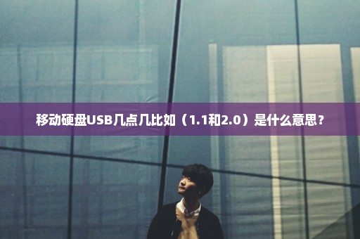 移动硬盘USB几点几比如（1.1和2.0）是什么意思？