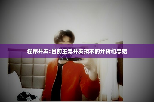 程序开发:目前主流开发技术的分析和总结