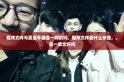 程序文件与质量手册是一样的吗，程序文件是什么东西，。是一级文件吗