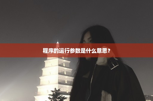 程序的运行参数是什么意思？