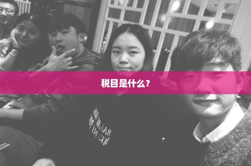 税目是什么？