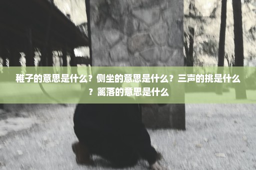 稚子的意思是什么？侧坐的意思是什么？三声的挑是什么？篱落的意思是什么