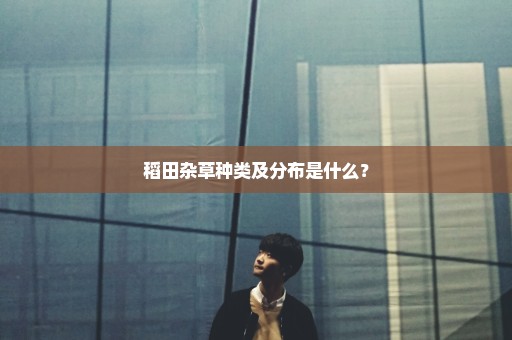 稻田杂草种类及分布是什么？